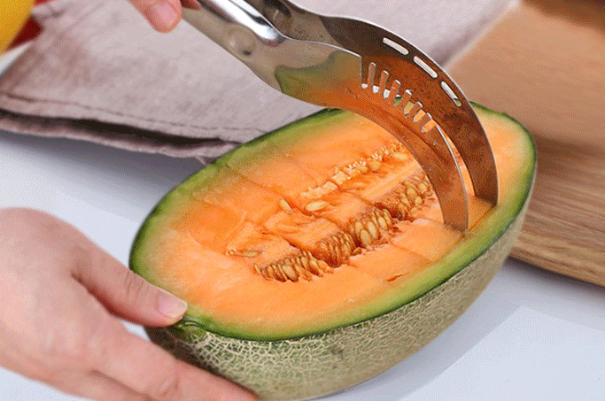 Stainless Steel Melon Cutter