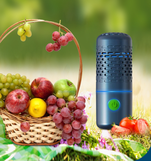 Portable Fruit and Vegetable Washing Machine